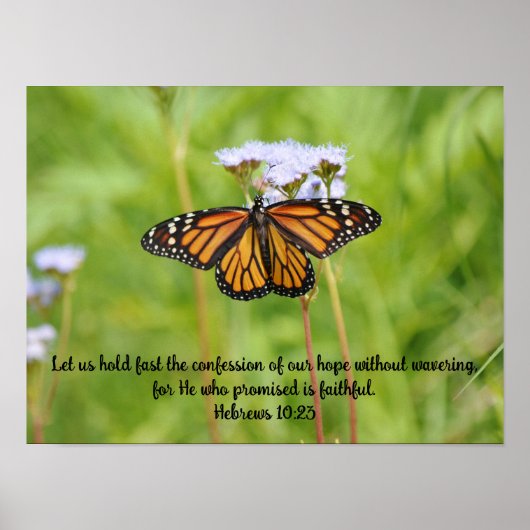 Grote monarch vlinder op wilde bloemen Poster kuns (Voorkant)