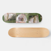 Grote mond persoonlijk skateboard (Horizontaal)
