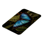 Grote, mooie, blauwe vlinder magneet (Linkerzijde)