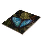 Grote, mooie, blauwe vlinder tegeltje (Zijkant)