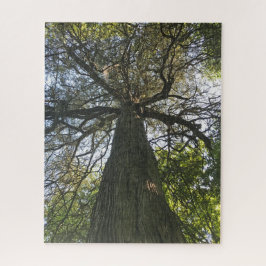 Grote mooie boom legpuzzel