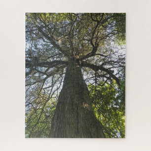 Grote mooie boom legpuzzel