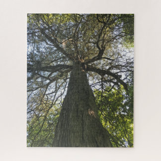Grote mooie boom legpuzzel