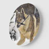 Grote mooie grijze Wilde Wolf in sneeuw Klok (Hoek)