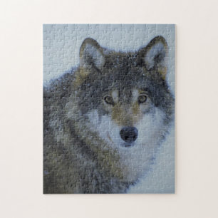 Grote mooie grijze wolf in het wild legpuzzel