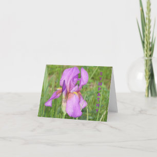 Grote Mooie Iris, Sympathie Kaart