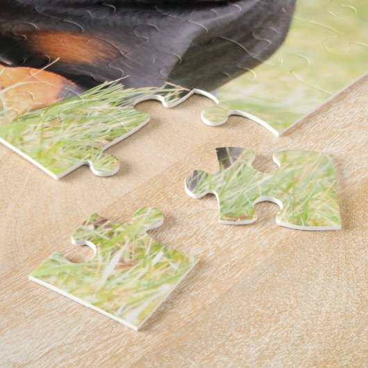 Grote mooie rottweiler legpuzzel (Zijkant)