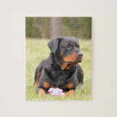 Grote mooie rottweiler legpuzzel (Verticaal)