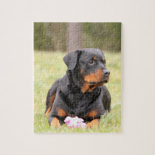 Grote mooie rottweiler legpuzzel