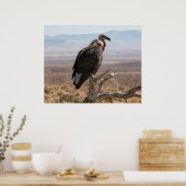 Grote Mooie Vogel Poster (Keuken)
