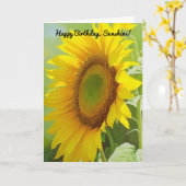 Grote mooie zonnebloem Gelukkige Verjaardagszonnes Kaart (Gele Bloem)