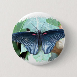 Grote Mormon-Tropische vlinder Ronde Button 5,7 Cm