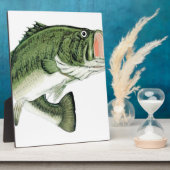 Grote Mouth Bass Fotoplaat (Zijkant)