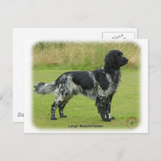 Grote Münsterlander Briefkaart (Voorkant / Achterkant)