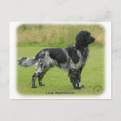 Grote Münsterlander Briefkaart (Voorkant)