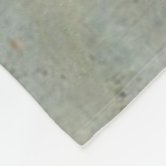 Grote Münsterlander met fazant Fleece Deken (Hoek)