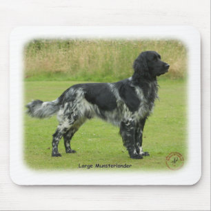 Grote Münsterlander Muismat