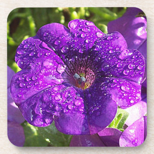 Grote natte Paarse petunia Bloem Onderzetter (6)
