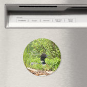 Grote nestende Loon Magneet (Insitu (Vaatwasser))