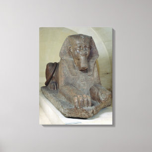 Grote neushoorn uit Tanis Canvas Afdruk