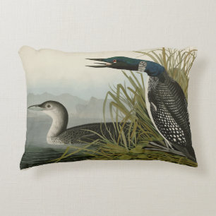 Grote Noord-Diver Loon Audubon Birds of America Accent Kussen