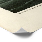 Grote Noord-Diver Loon Audubon Birds of America Poster (Hoek)