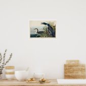 Grote noordelijke duiker of leoon door het Poster  (Keuken)