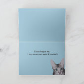 Grote Ogen Sorry Kitty Kaart (Binnen)