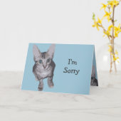 Grote Ogen Sorry Kitty Kaart (Gele Bloem)