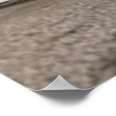 Grote olifant Poster afdrukken (Hoek)