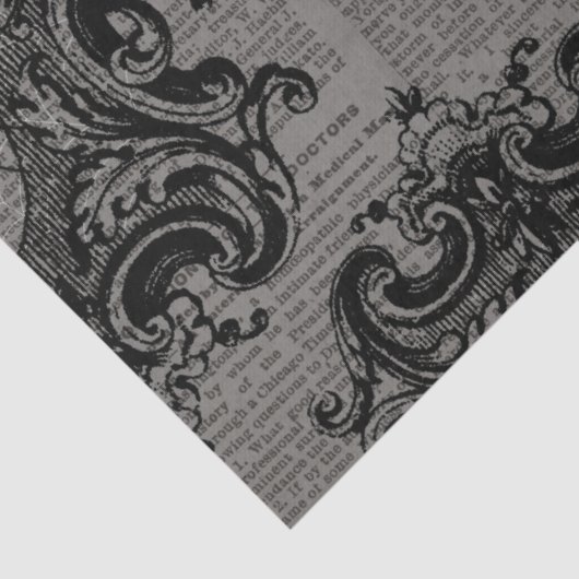 Grote omhulde spin op donkergrijze ontkoppeling tissuepapier (Detail)