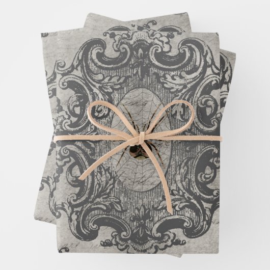 Grote omhulde spin op lichte grijs inpakpapier vel (In situ)