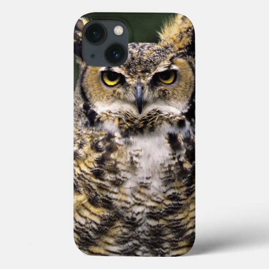 Grote Ooruil (Bubo virginianus), volledig lichaam Case-Mate iPhone Case (Achterkant)