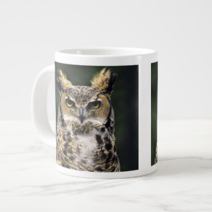Grote Ooruil (Bubo virginianus), volledig lichaam Koffiekop