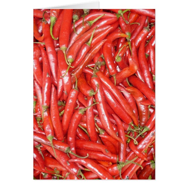 grote opgerolde verticaal (Voorkant)