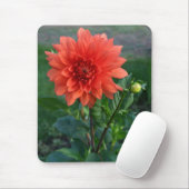 Grote Oranje dameskast Dahlia Muismat (Met muis)