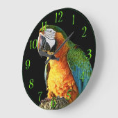 Grote Oranje en Blauwgroen papegaai op een pomp Grote Klok (Hoek)