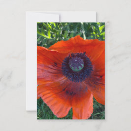 Grote Oranje oosterse papaver Notitiekaartje