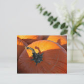 Grote Oranje Pompoen Briefkaart (Staand voorkant)
