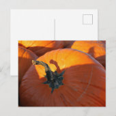 Grote Oranje Pompoen Briefkaart (Voorkant / Achterkant)