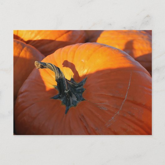 Grote Oranje Pompoen Briefkaart (Voorkant)