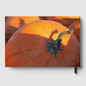 Grote Oranje Pompoen Gastenboek (Achterkant)