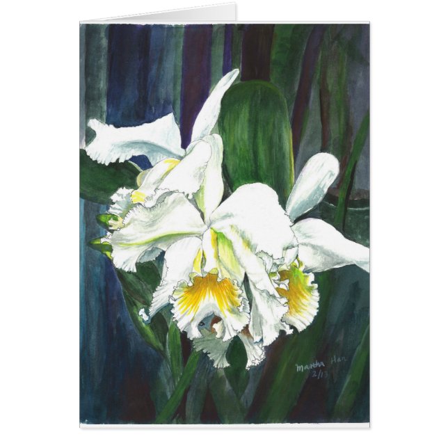 Grote orchideeën (Voorkant)