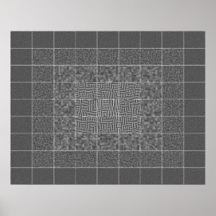 Grote Ouchi illusie Poster