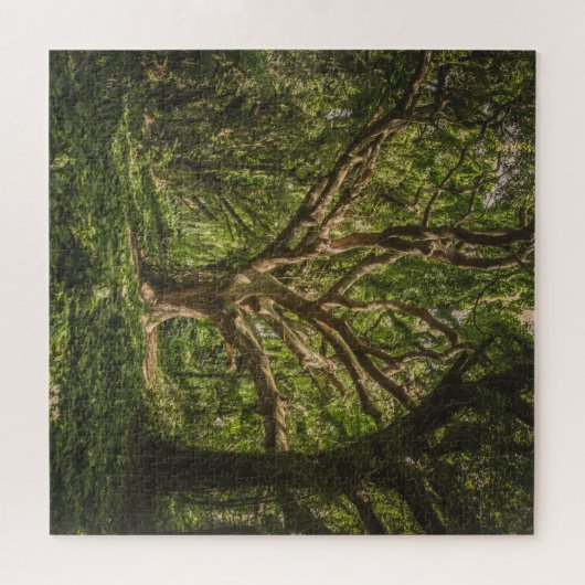 Grote Oude boom in het bos Legpuzzel (Horizontaal)