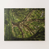 Grote Oude boom in het bos Legpuzzel (Horizontaal)