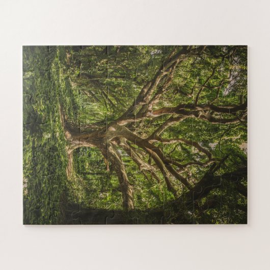 Grote Oude boom in het bos Legpuzzel (Horizontaal)