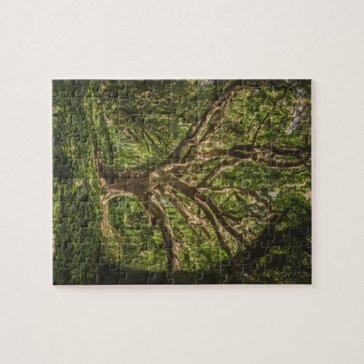 Grote Oude boom in het bos Legpuzzel (Horizontaal)