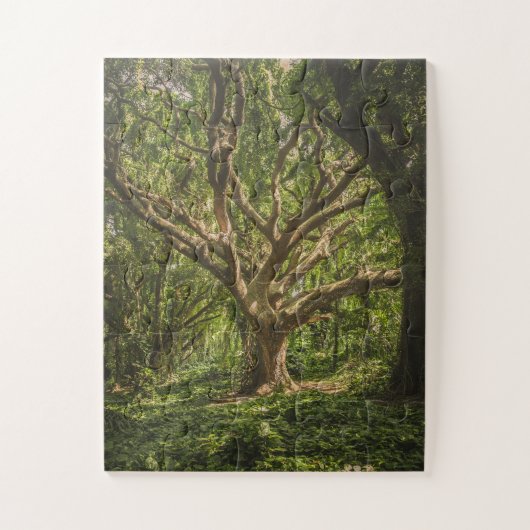 Grote Oude boom in het bos Legpuzzel (Verticaal)