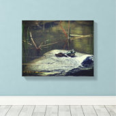 Grote oude Bullfrog op Rock Natuur Canvas Afdruk (Insitu (Houten vloer))